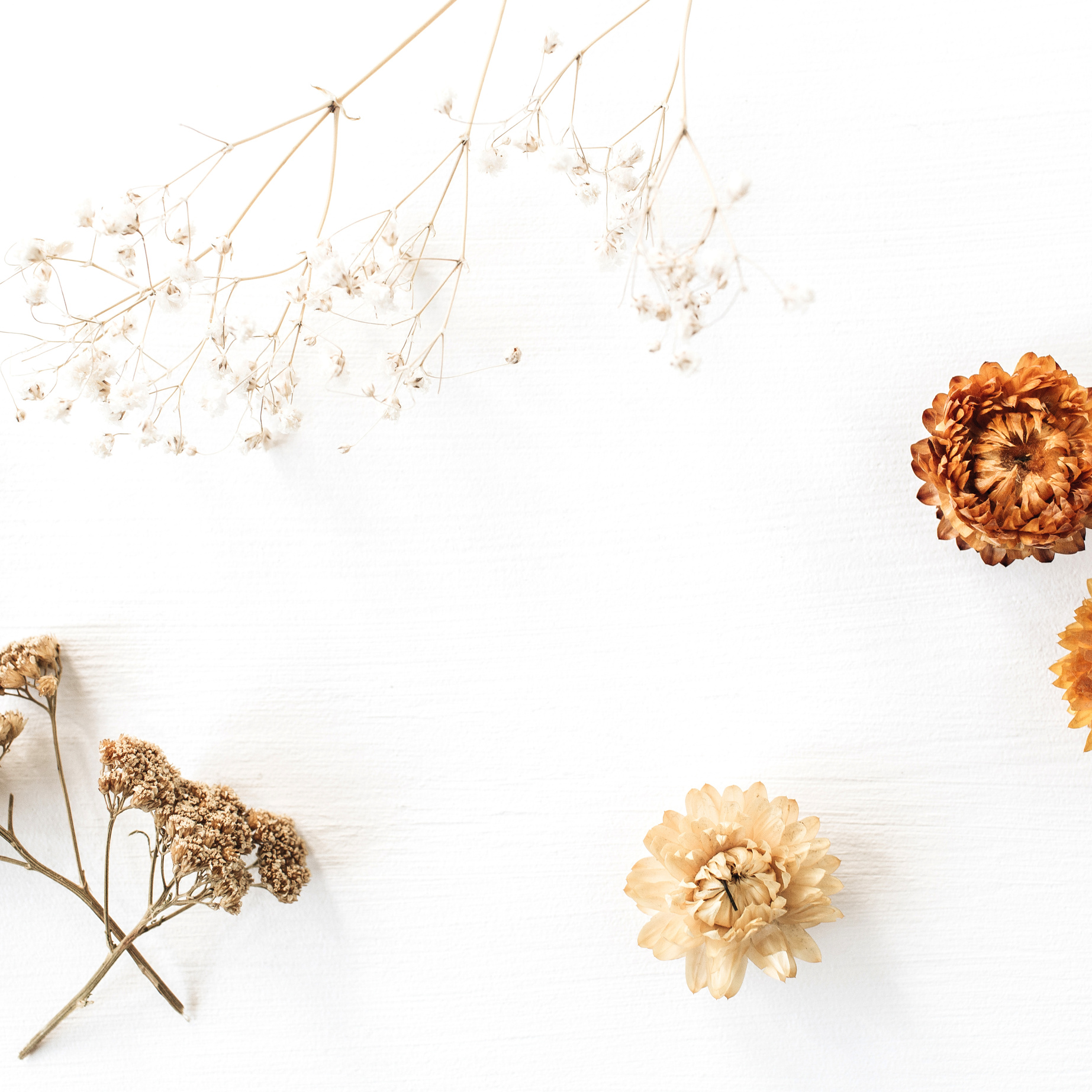 Minimalist Floral Decoration